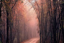 开云官网：范迪克：希望能在利物浦队史上留下我的名字，球队的目标还没完成.