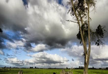 开云官网：3次关键传球+1助，佩雷拉当选与热刺一役富勒姆队内最佳球员.