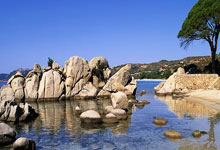 法尔克：皇马确实接触过基米希，但认为该球员过于年长和昂贵.